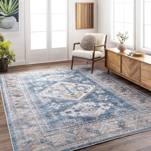 Surya Amelie AML-2315 5'3" x 7'3" Rug