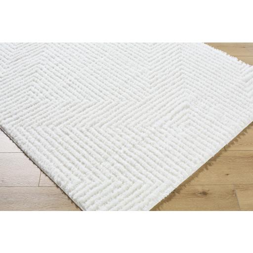 Surya Nomadic NMC-2327 6'7" x 9' Rug