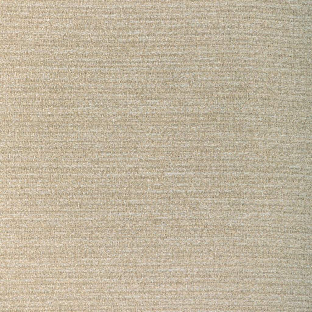 Kravet KRAVET SMART 37344-1611 Upholstery Fabric