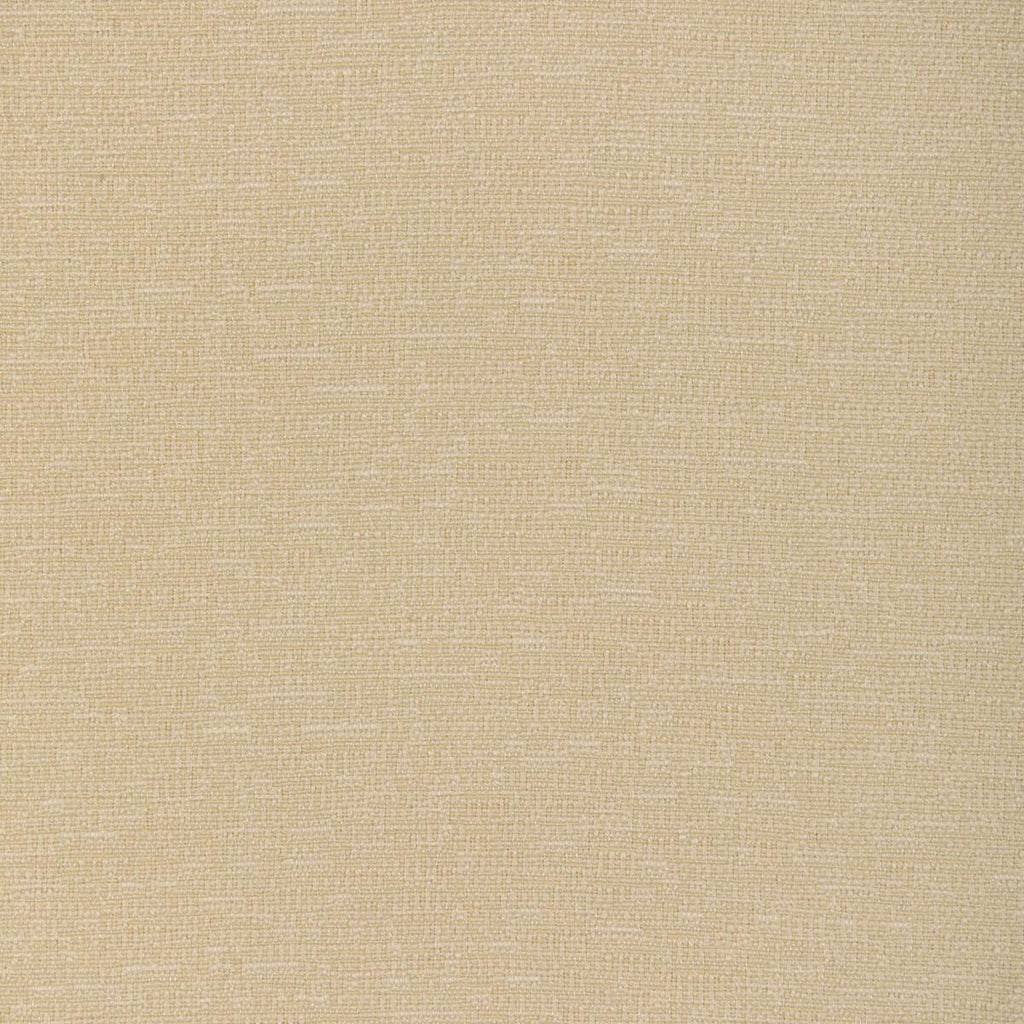 Kravet KRAVET SMART 37352-116 Upholstery Fabric