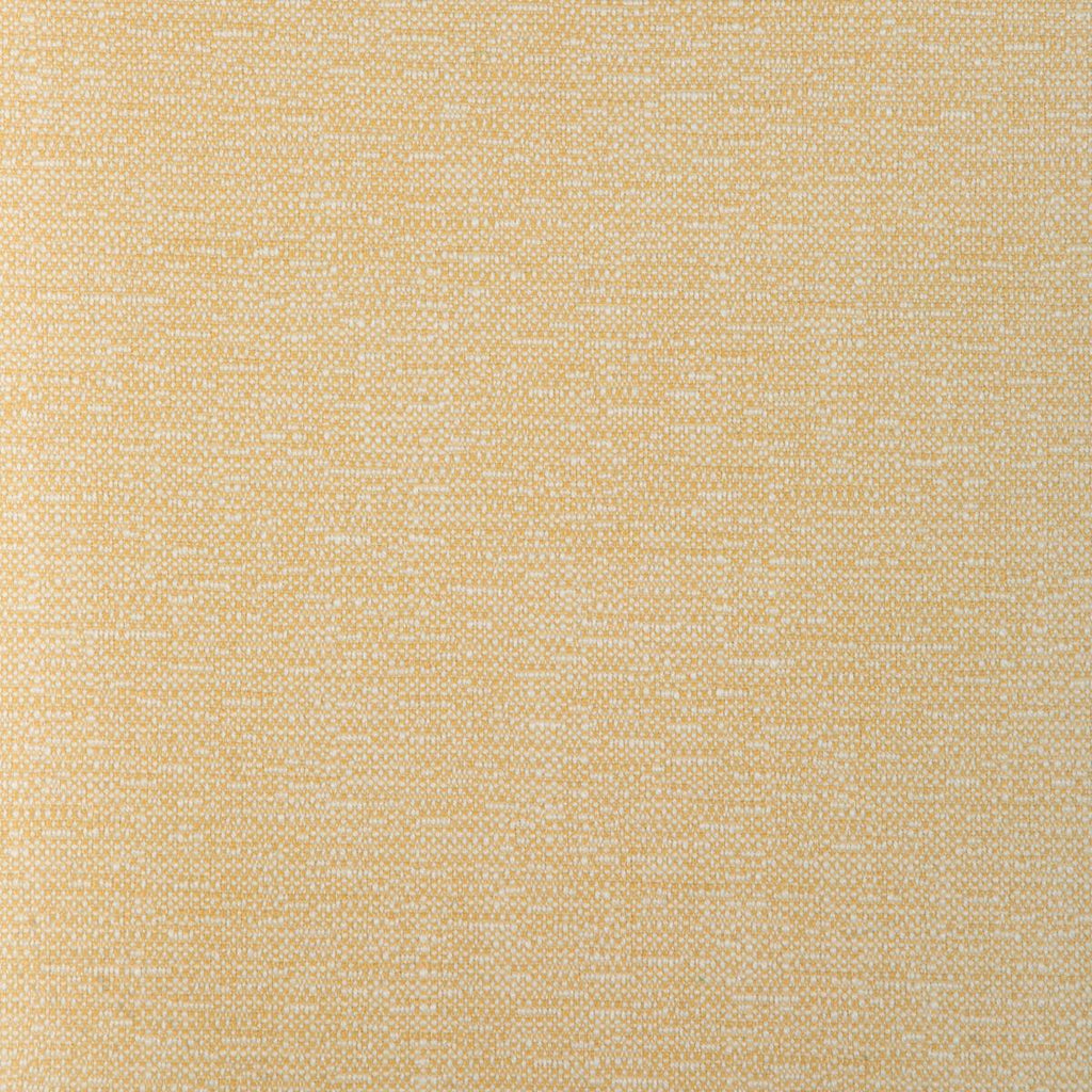 Kravet KRAVET SMART 37352-40 Upholstery Fabric