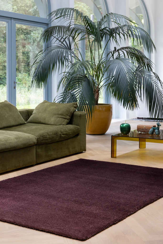 Brink & Campman Shade Low Plum/Fig 5'7 x 7'10 Rug