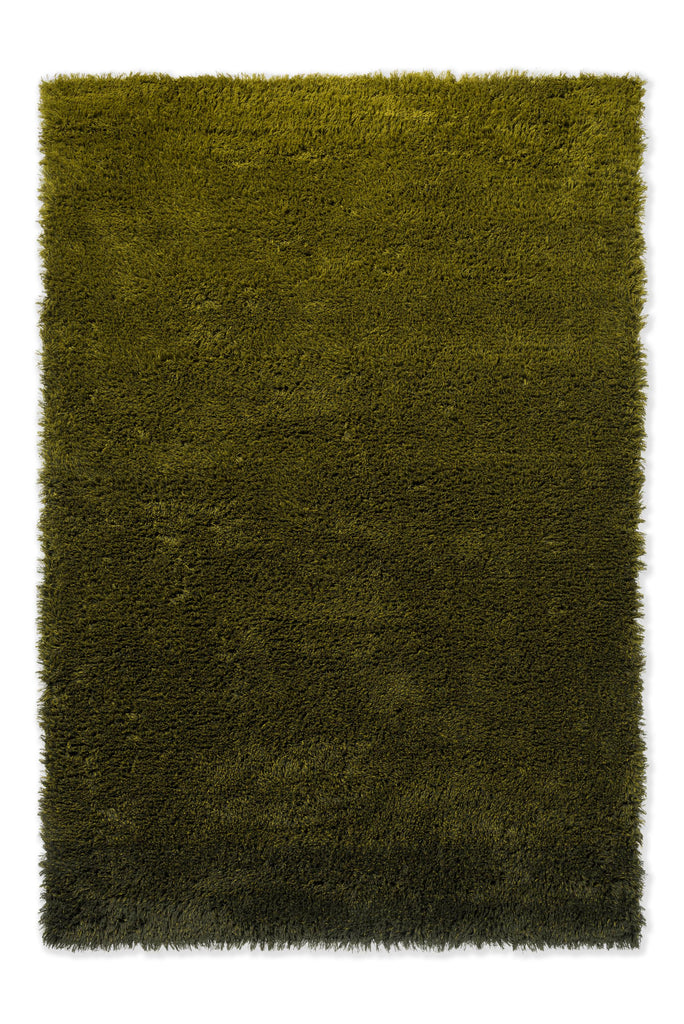 Brink & Campman Shade High Olive/Deep Forest 6'7 x 9'8 Rug