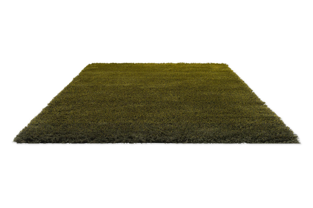 Brink & Campman Shade High Olive/Deep Forest 6'7 x 9'8 Rug