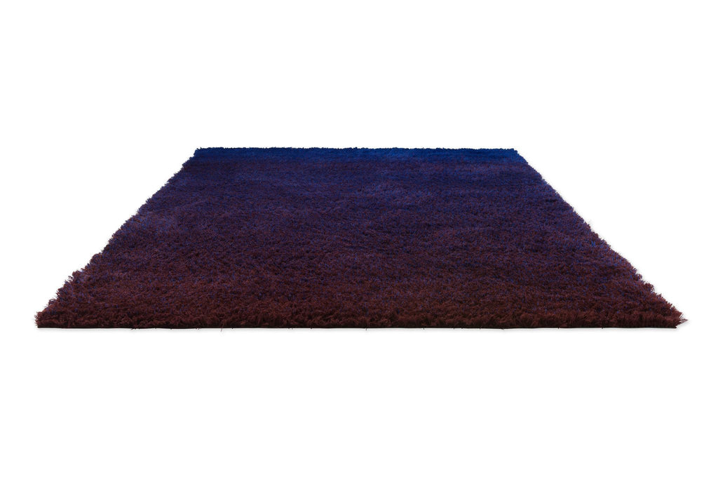 Brink & Campman Shade High Electric Blue/Aubergine 5'7 x 7'10 Rug