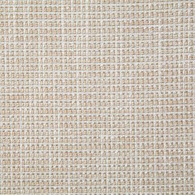 Pindler ABNEY PEARL Fabric