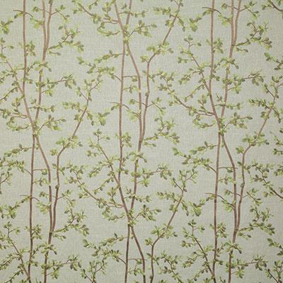 Pindler DARCY SPRING Fabric