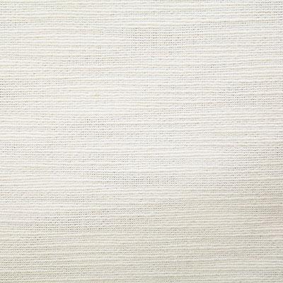 Pindler THOMPKINS TUSK Fabric