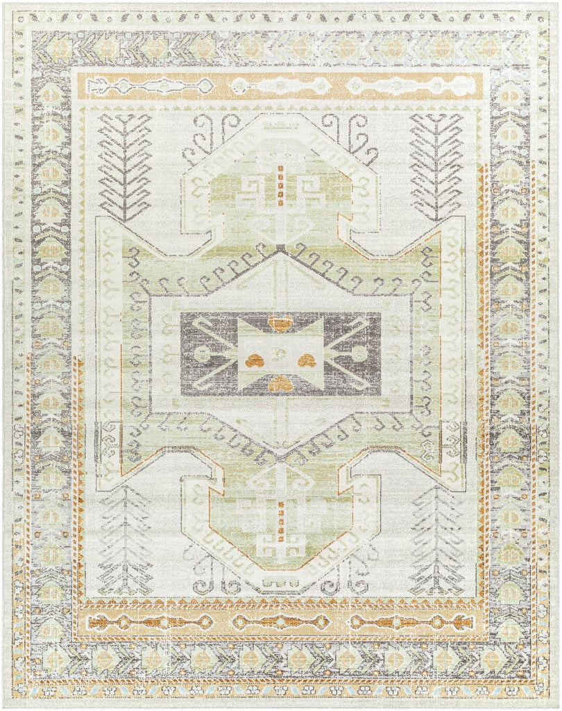 Surya Bodrum BDM-2337 6'11" x 9' Rug