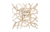 Phillips Collection Vine Wall Tile, Lg Bleached Wall Art