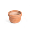 Decoratorsbest Felipe Small Terracotta Planter