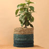 Decoratorsbest Babui Eco-Pot - Indigo