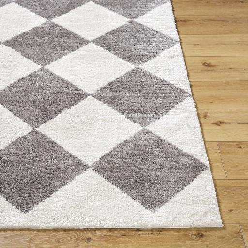 Surya Fossay Shag FSG-2326 2' x 2'11" Rug