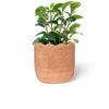 Decoratorsbest Wavy Planter - Large