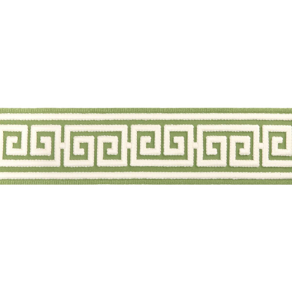 Brunschwig & Fils PAROS TAPE LEAF Trim