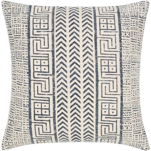 Surya Janya JNY-011 14"H x 22"W Pillow Cover