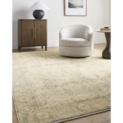 Surya Fetscher GAHU-2301 2'7" x 9' Rug