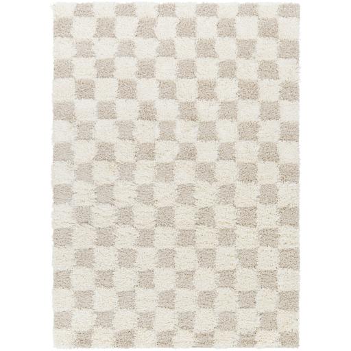 Surya Urban Shag USG-2350 10' x 13'11" Rug