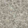 Kasmir Imperial Beach Silver Fabric