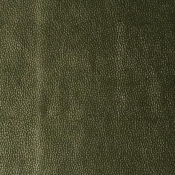 Kravet KERINCI LIMELIGHT Fabric