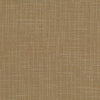 Kasmir San Carlos Twine Fabric