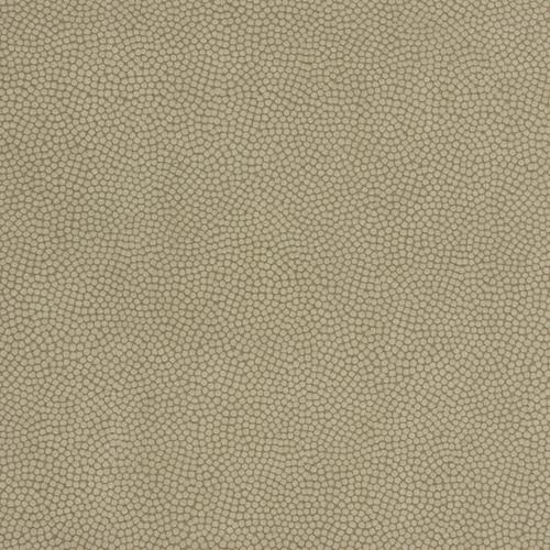 Kravet BEAUTYMARK GREYSTONE Fabric