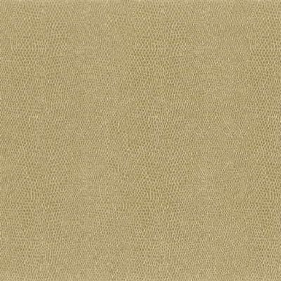 Kravet MOCCASIN 161 Fabric