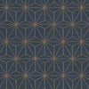 Kasmir Cubes Navy Fabric