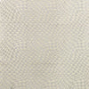Lee Jofa Ionic Salt/Silver Fabric