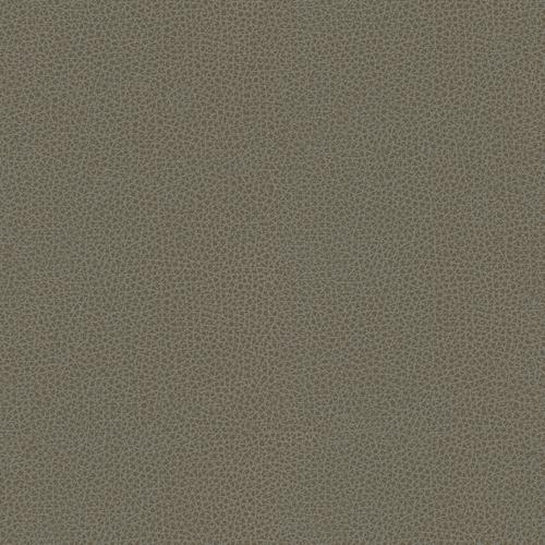 Kravet RIGEL 11 Fabric