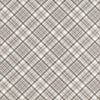 Kasmir Campagne Plaid Natural Fabric