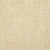 Pindler Archie Straw Fabric