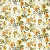 Kasmir Claranden Sundance Fabric