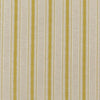 Threads Rattan Stripe Citrus Drapery Fabric