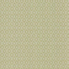 Kasmir Diamond Brite Wasabi Fabric