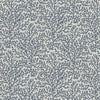 Kasmir Freshwater Denim Fabric