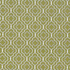 Kasmir Jaya Sprout Fabric