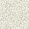 Kasmir Jungle Safari Breeze Fabric