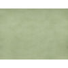 Brunschwig & Fils Sukhothai Celadon Green Drapery Fabric