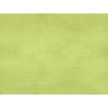 Brunschwig & Fils Sukhothai Lemon Green Drapery Fabric