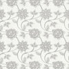 Kasmir Serena Sterling Fabric