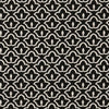 Clarke & Clarke Bw1014 Black/White Fabric