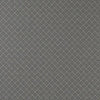 Clarke & Clarke Bw1031 Black/White Fabric