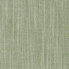 Clarke & Clarke Biarritz Parsley Fabric