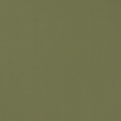 Clarke & Clarke NOVARA OLIVE Fabric