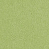 Jf Fabrics Sawyer Green (77) Drapery Fabric