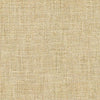 Kasmir Evangeline Sisal Fabric