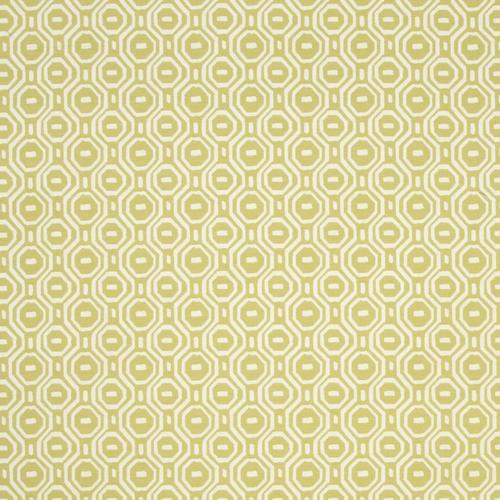 Clarke & Clarke GOTSKA OLIVE Fabric