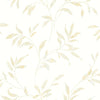 Brewster Home Fashions Chesapeake The Vineyard 3117-54514 Cream Wallpaper