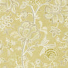 Sanderson Shalimar Linden/Taupe Wallpaper